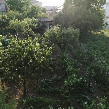 Biagio And Marys House * تريكينا
